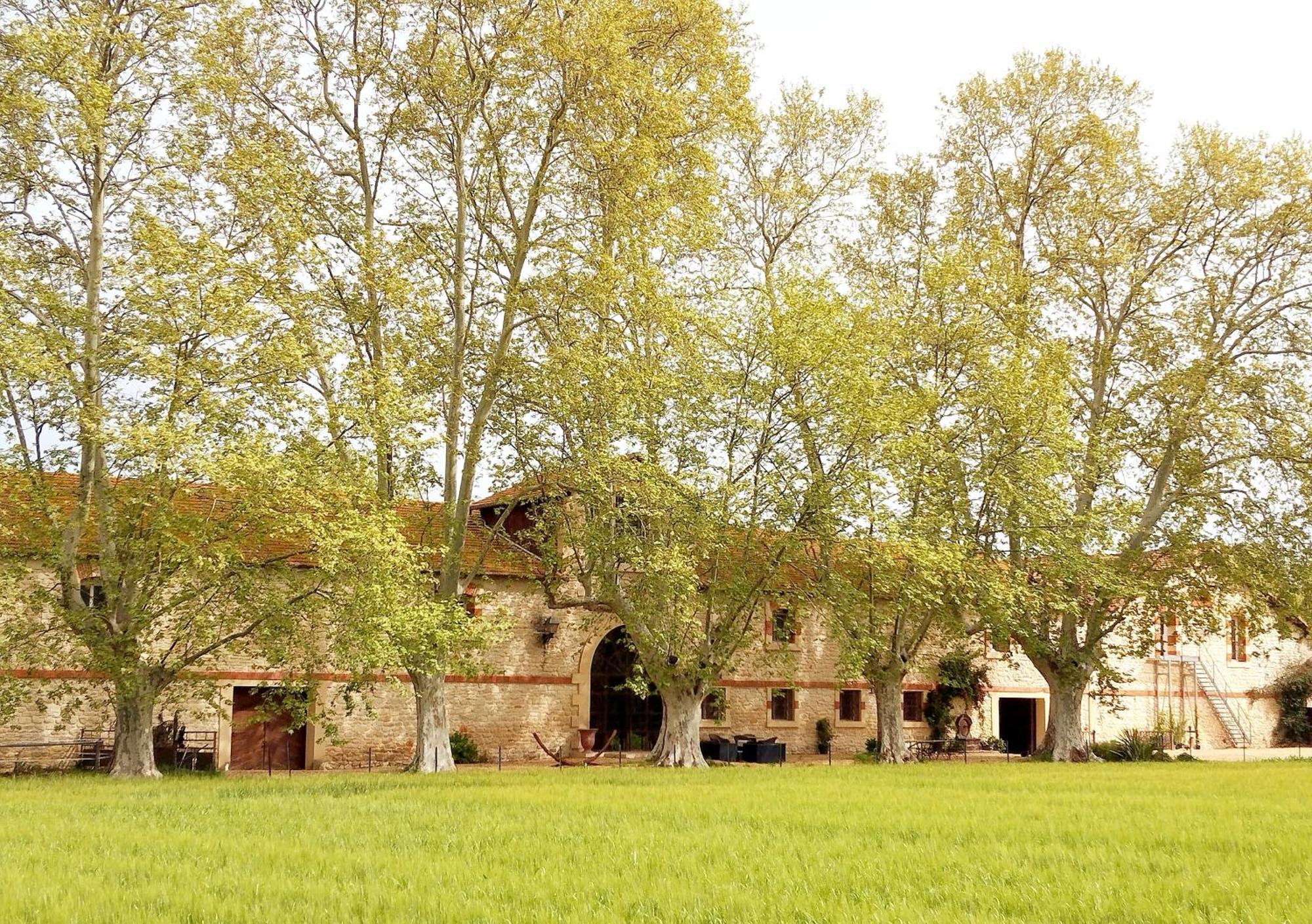 La Cave De Grand Cabane Fourques  Exterior photo